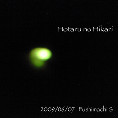hotaru.jpg